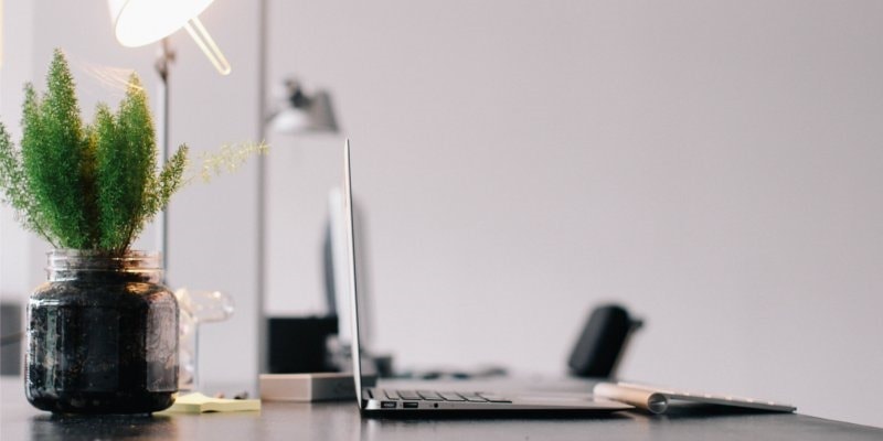 WordPress spam plugin minimalist side view laptop desktop plant Photo of minimalist desk with side view of laptop with plant, stationary and lamp