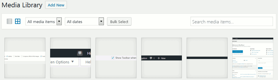 WordPress admin dashboard view of inside of the media library