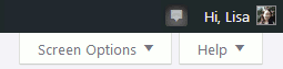 WordPress admin dashboard screen options and help tabs on each main screen
