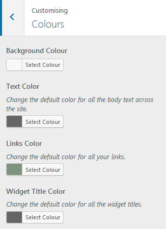 Premium WordPress Theme Example Of Easy To Use Color Settings