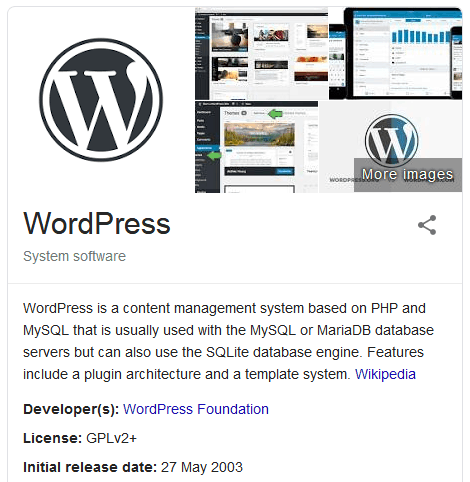 What The Organization Metadata Looks Like Within Google Search Results