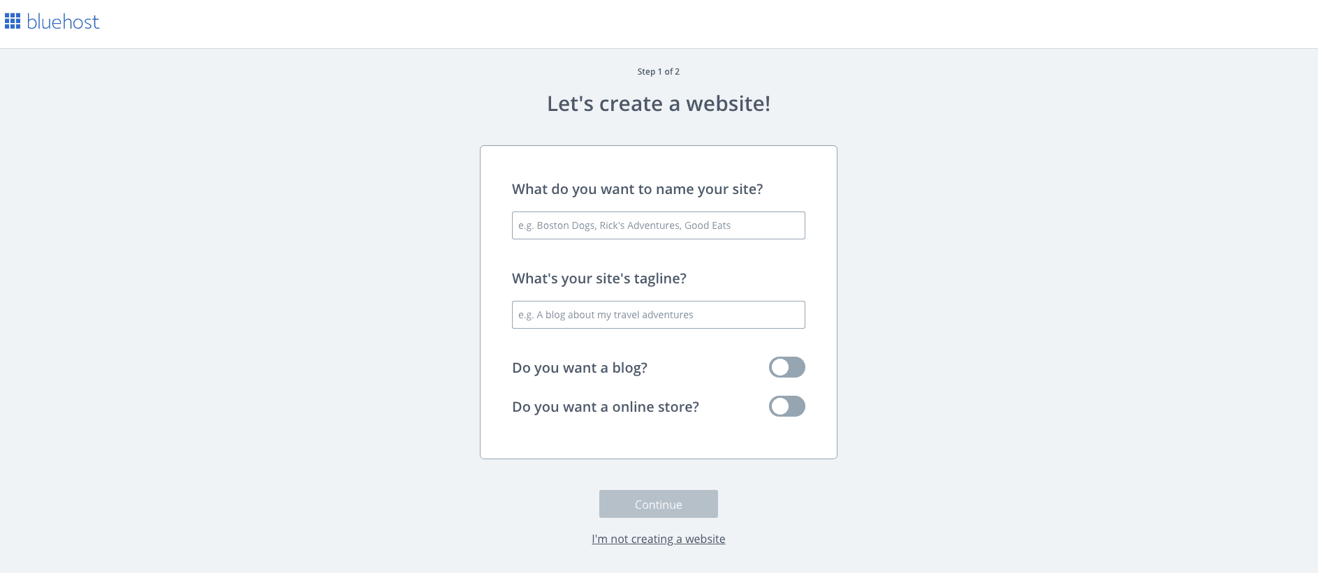 How To Start A WordPress Blog Using Bluehost 10 Name Your Website