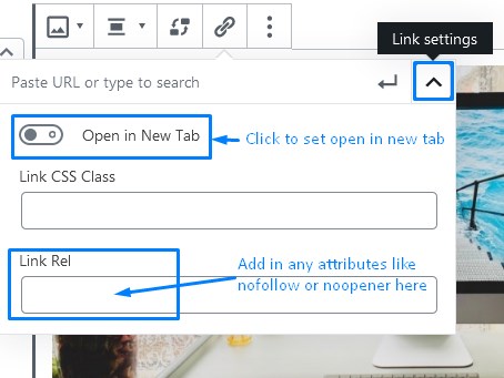 How To Customize The Image Block Link Settings In WordPress Gutenberg