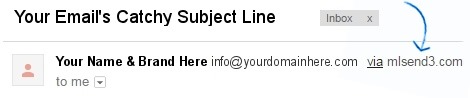 Email domain authentication example email when not authenticated directly through DNS records