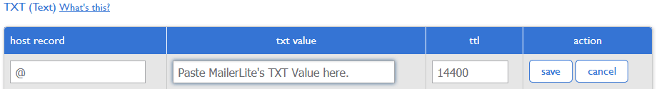 Email Authentication in Bluehost - Editing a DNS Record form